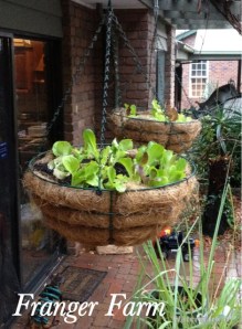 Hang close to the kitchen.