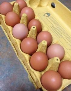 Eggs! The best reason to keep chickens.