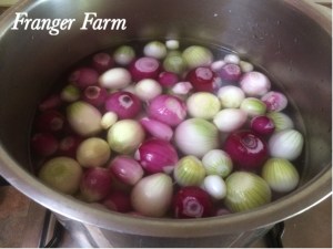 Drop your peeled onions into a pan of salted water with a spoonful of vinegar.