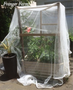 Make a frame for nets to keep pests out.