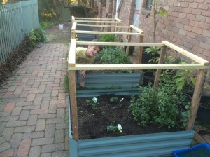 Many herbs will grow in partially shaded conditions.