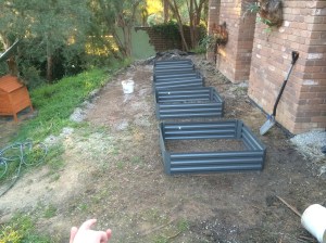 A desolate, weed prone area.