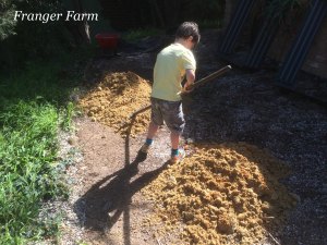 Level the area if needed.